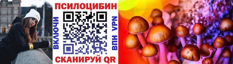 Псилоцибиновые грибы Psilocybe  Верхняя Салда 