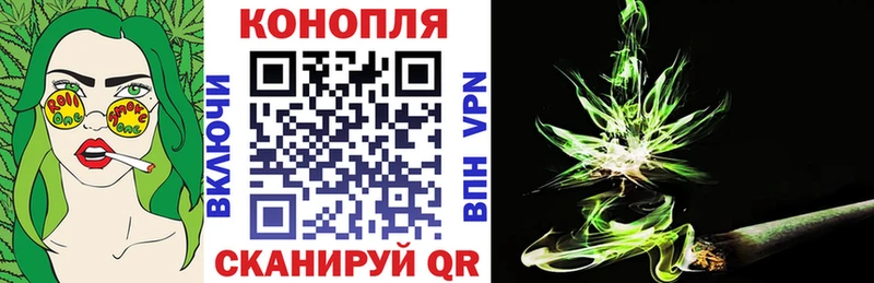 где можно купить   Верхняя Салда  Шишки марихуана сатива 